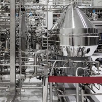 一然生物泉州乳酸/菌OEM进口酸奶发酵剂生产厂家